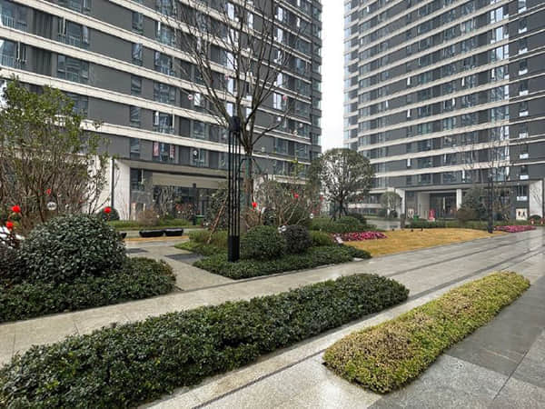 人工智能照亮平凡人的世界 农民也能用AI创业